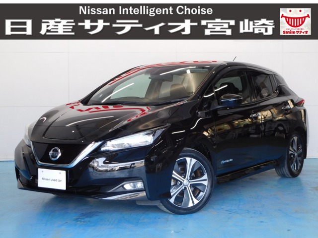 日産 リーフ Ｇ H30年 (九州・沖縄) 99