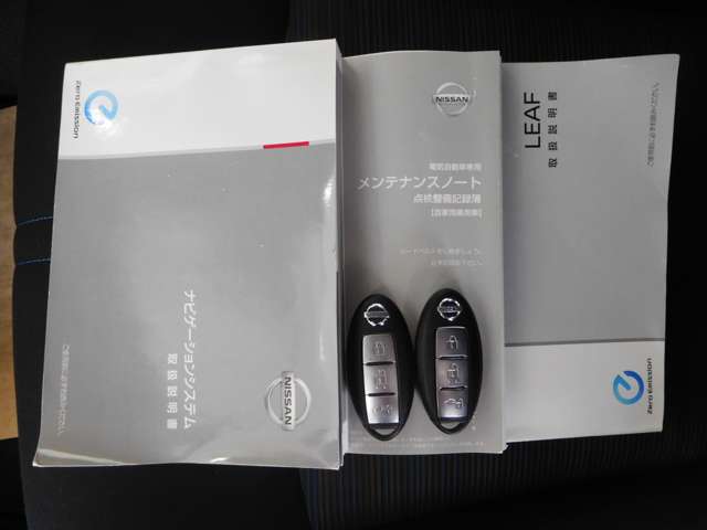 日産 リーフ Ｇ H30年 (九州・沖縄) 99