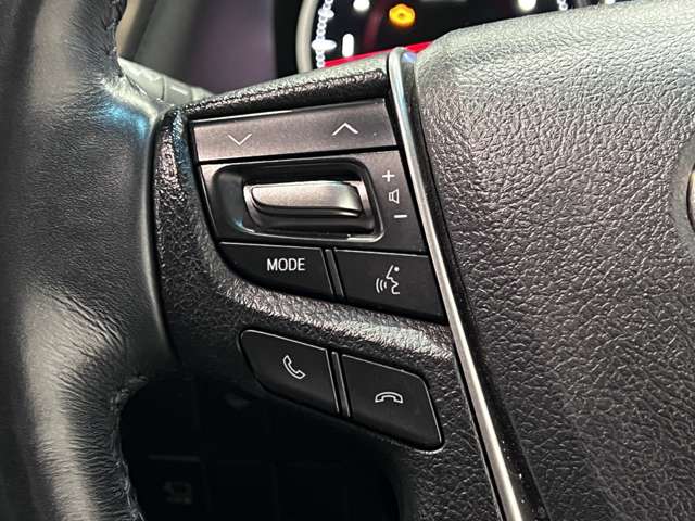 トヨタ ヴェルファイア ３．５ ＺＧ H30年 (関東) 99