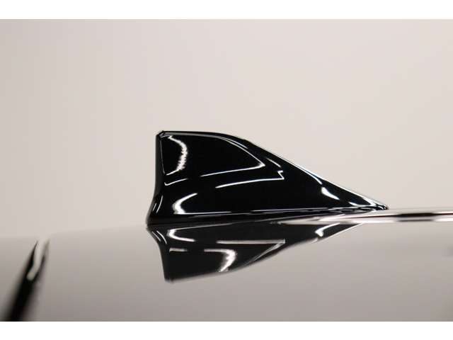 トヨタ アルファード ２．５ Ｓ Ｃパッケージ R5年 (東海) 99