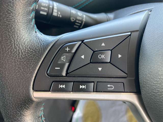 日産 セレナ ２．０ ＡＵＴＥＣＨ Ｖパッケージ ４ＷＤ H30年 (東北) 99