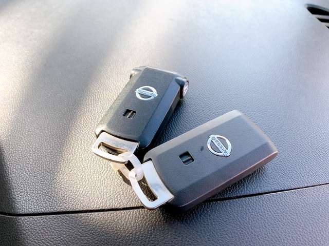 日産 デイズ　ルークス ６６０ ハイウェイスターＸ Ｇパッケージ H26年 (九州・沖縄) 99