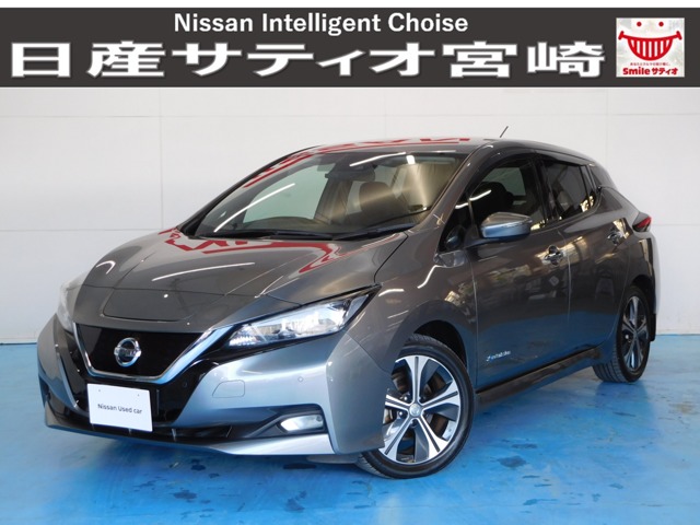 日産 リーフ Ｘ H30年 (九州・沖縄) 99