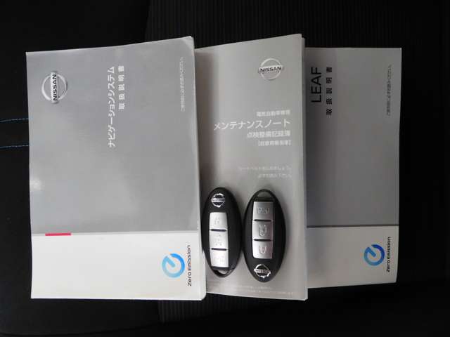 日産 リーフ Ｘ H30年 (九州・沖縄) 99