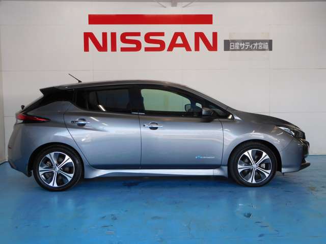 日産 リーフ Ｘ H30年 (九州・沖縄) 99