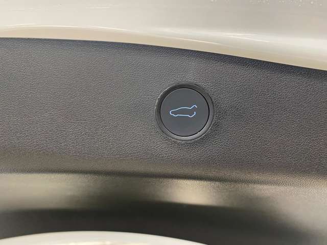 テスラ モデル３ ＲＷＤ R3年 (関東) 99