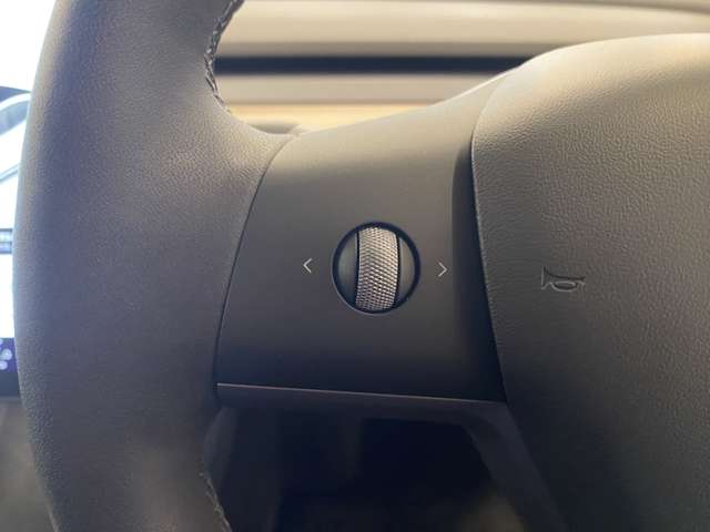 テスラ モデル３ ＲＷＤ R3年 (関東) 99