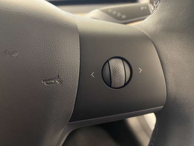 テスラ モデル３ ＲＷＤ R3年 (関東) 99