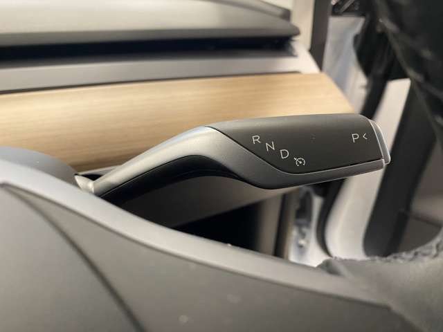 テスラ モデル３ ＲＷＤ R3年 (関東) 99