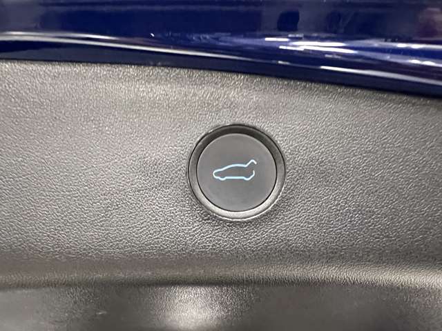 テスラ モデル３ ロングレンジ R4年 (関東) 99