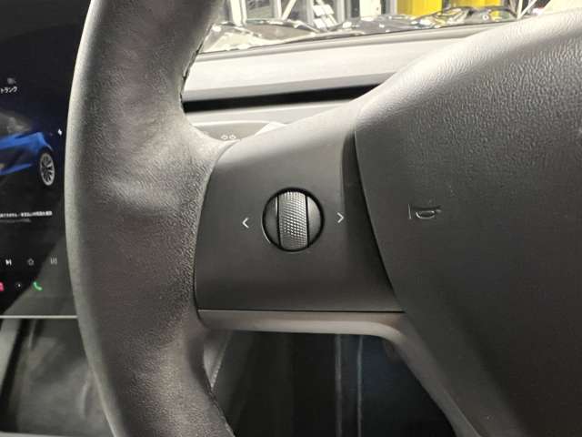 テスラ モデル３ ロングレンジ R4年 (関東) 99