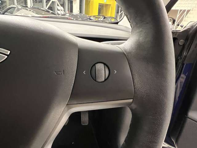 テスラ モデル３ ロングレンジ R4年 (関東) 99