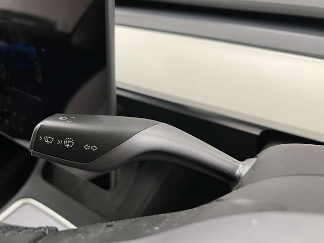 テスラ モデル３ ロングレンジ R4年 (関東) 99