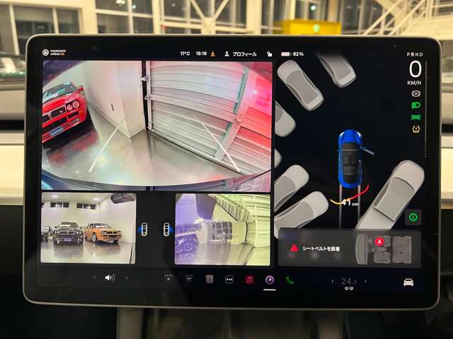 テスラ モデル３ ロングレンジ R4年 (関東) 99