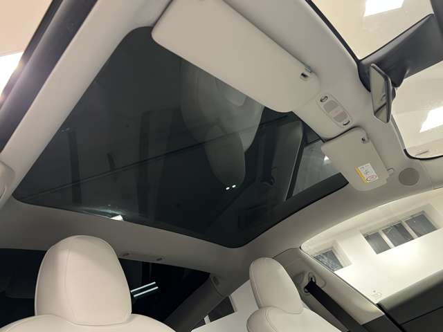 テスラ モデル３ ロングレンジ R4年 (関東) 99