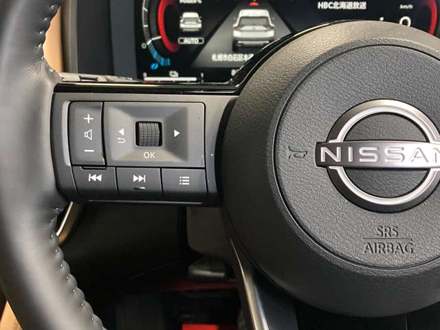 日産 エクストレイル １．５ Ｇ Ｅ－４ＯＲＣＥ ４ＷＤ R5年 (北海道) 99