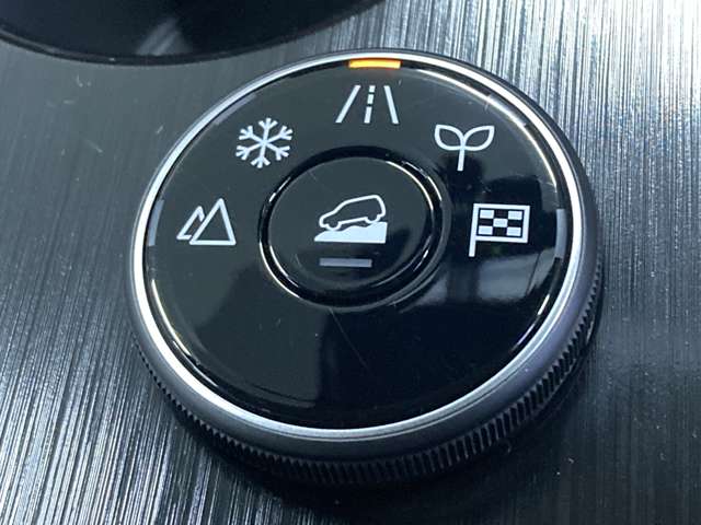 日産 エクストレイル １．５ Ｇ Ｅ－４ＯＲＣＥ ４ＷＤ R5年 (北海道) 99