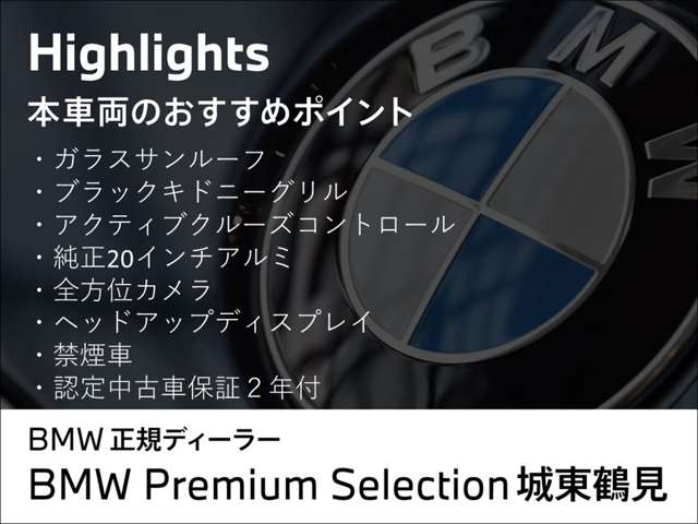 ＢＭＷ Ｘ４ Ｘドライブ２０Ｄ Ｍスポーツ ディーゼルターボ ４ＷＤ R3年 (近畿) 99