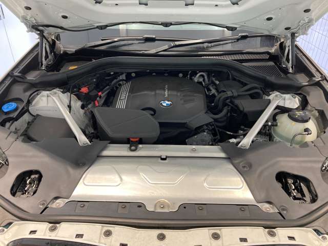 ＢＭＷ Ｘ４ Ｘドライブ２０Ｄ Ｍスポーツ ディーゼルターボ ４ＷＤ R3年 (近畿) 99