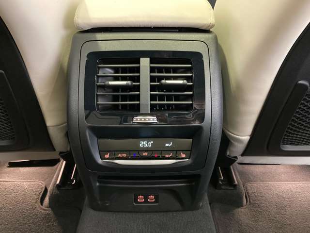 ＢＭＷ Ｘ４ Ｘドライブ２０Ｄ Ｍスポーツ ディーゼルターボ ４ＷＤ R3年 (近畿) 99