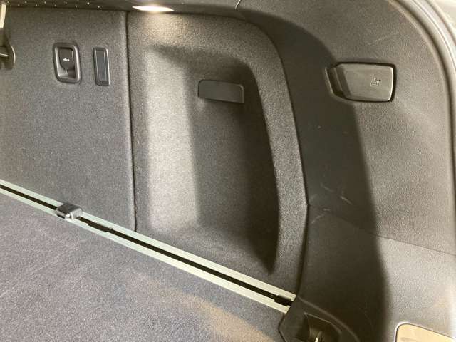 ＢＭＷ Ｘ４ Ｘドライブ２０Ｄ Ｍスポーツ ディーゼルターボ ４ＷＤ R3年 (近畿) 99