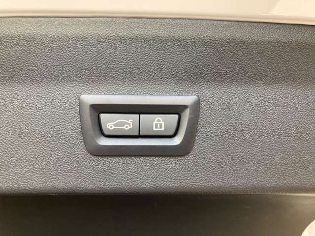 ＢＭＷ Ｘ４ Ｘドライブ２０Ｄ Ｍスポーツ ディーゼルターボ ４ＷＤ R3年 (近畿) 99