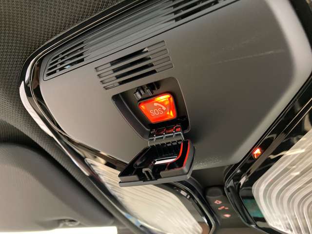 ＢＭＷ Ｘ４ Ｘドライブ２０Ｄ Ｍスポーツ ディーゼルターボ ４ＷＤ R3年 (近畿) 99