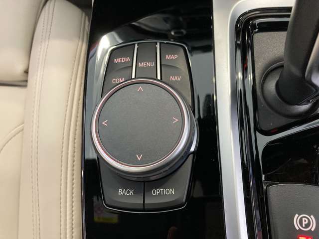 ＢＭＷ Ｘ４ Ｘドライブ２０Ｄ Ｍスポーツ ディーゼルターボ ４ＷＤ R3年 (近畿) 99