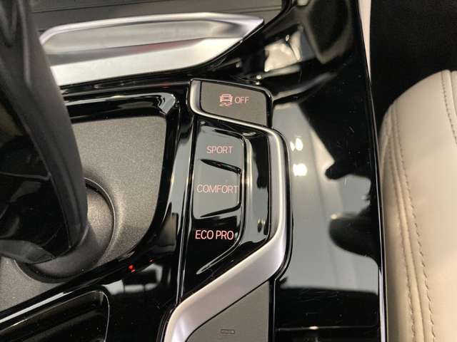 ＢＭＷ Ｘ４ Ｘドライブ２０Ｄ Ｍスポーツ ディーゼルターボ ４ＷＤ R3年 (近畿) 99