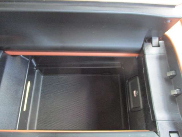 ＡＭＧ ＳＬ ＳＬ ４３ （ＢＳＧ搭載モデル） R4年 (中国) 99