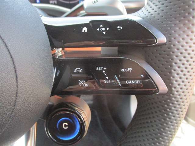 ＡＭＧ ＳＬ ＳＬ ４３ （ＢＳＧ搭載モデル） R4年 (中国) 99