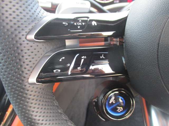 ＡＭＧ ＳＬ ＳＬ ４３ （ＢＳＧ搭載モデル） R4年 (中国) 99