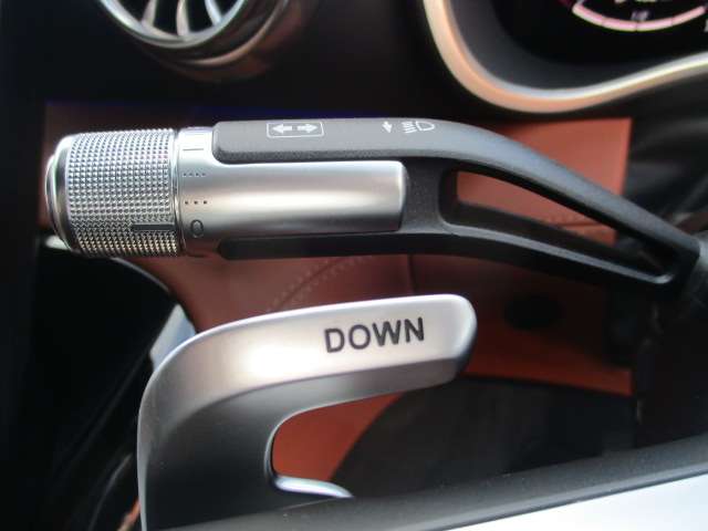 ＡＭＧ ＳＬ ＳＬ ４３ （ＢＳＧ搭載モデル） R4年 (中国) 99