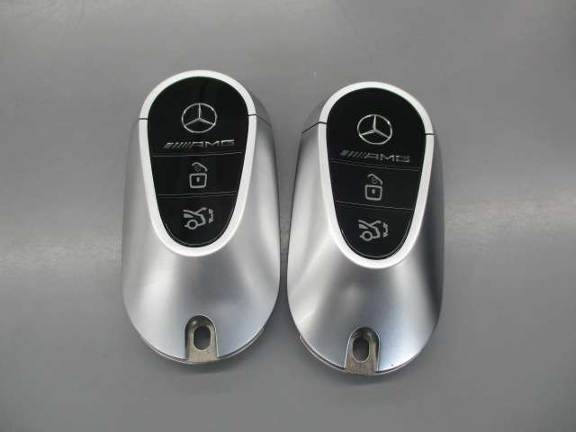 ＡＭＧ ＳＬ ＳＬ ４３ （ＢＳＧ搭載モデル） R4年 (中国) 99