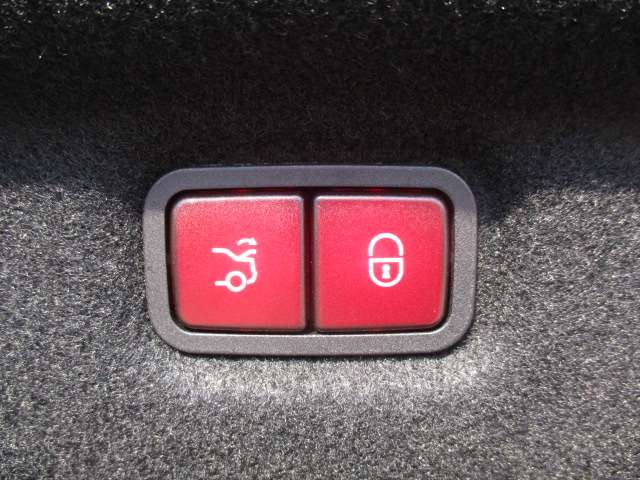 ＡＭＧ ＳＬ ＳＬ ４３ （ＢＳＧ搭載モデル） R4年 (中国) 99