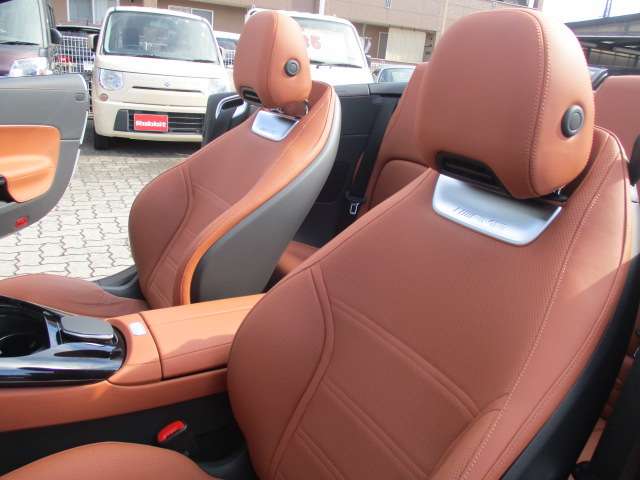 ＡＭＧ ＳＬ ＳＬ ４３ （ＢＳＧ搭載モデル） R4年 (中国) 99