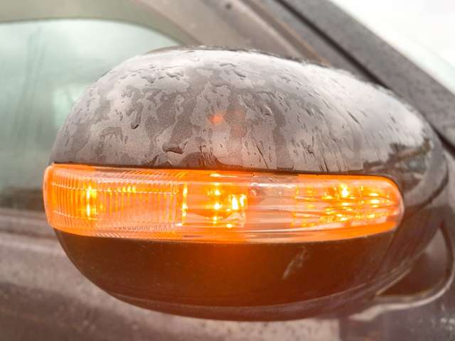 ダイハツ エッセ ６６０ カスタム H23年 (九州・沖縄) 99