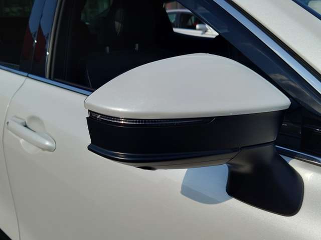 トヨタ クラウン　クロスオーバー　ハイブリッド ２．５ Ｇ Ｅ－ＦＯＵＲ ４ＷＤ R6年 (中国) 99