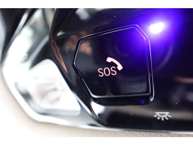 ＢＭＷ ２シリーズアクティブツアラー ２１８Ｉ エクスクルーシブ ＤＣＴ R6年 (近畿) 99