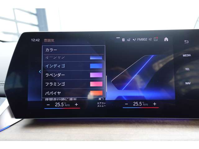 ＢＭＷ ２シリーズアクティブツアラー ２１８Ｉ エクスクルーシブ ＤＣＴ R6年 (近畿) 99