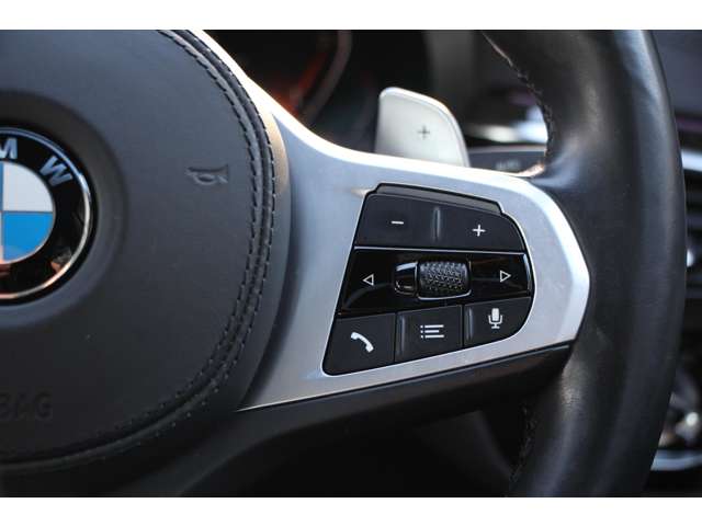 ＢＭＷ ５シリーズ ５２３Ｄ Ｘドライブ Ｍスポーツ エディション ジョイプラス ディーゼルターボ ４ＷＤ R3年 (関東) 99