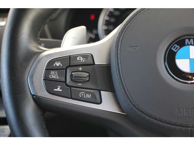 ＢＭＷ Ｘ４ Ｘドライブ３０Ｉ Ｍスポーツ ４ＷＤ H30年 (関東) 99