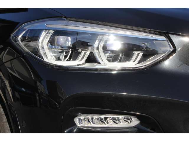 ＢＭＷ Ｘ４ Ｘドライブ３０Ｉ Ｍスポーツ ４ＷＤ H30年 (関東) 99