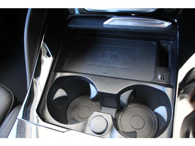 ＢＭＷ Ｘ４ Ｘドライブ３０Ｉ Ｍスポーツ ４ＷＤ H30年 (関東) 99