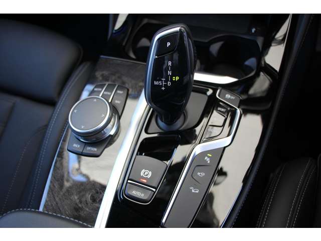 ＢＭＷ Ｘ４ Ｘドライブ３０Ｉ Ｍスポーツ ４ＷＤ H30年 (関東) 99