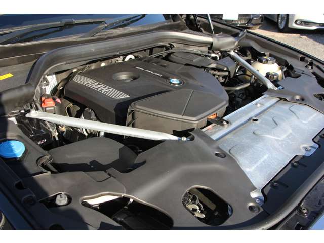 ＢＭＷ Ｘ４ Ｘドライブ３０Ｉ Ｍスポーツ ４ＷＤ H30年 (関東) 99
