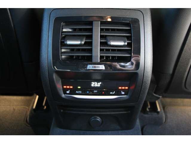 ＢＭＷ Ｘ４ Ｘドライブ３０Ｉ Ｍスポーツ ４ＷＤ H30年 (関東) 99