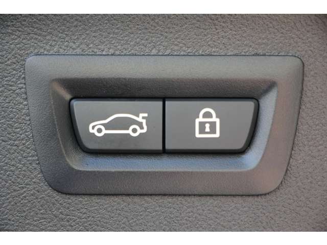 ＢＭＷ Ｘ４ Ｘドライブ３０Ｉ Ｍスポーツ ４ＷＤ H30年 (関東) 99