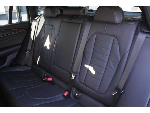 ＢＭＷ Ｘ４ Ｘドライブ３０Ｉ Ｍスポーツ ４ＷＤ H30年 (関東) 99