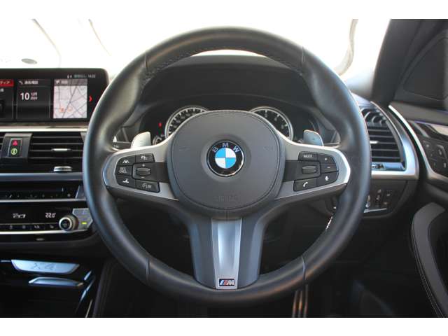ＢＭＷ Ｘ４ Ｘドライブ３０Ｉ Ｍスポーツ ４ＷＤ H30年 (関東) 99